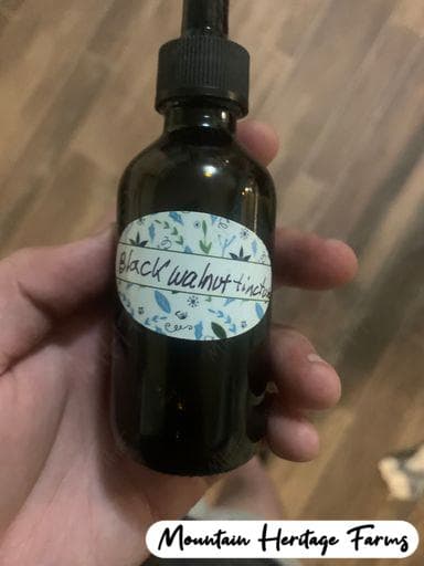 Photo of Black Walnut Tincture